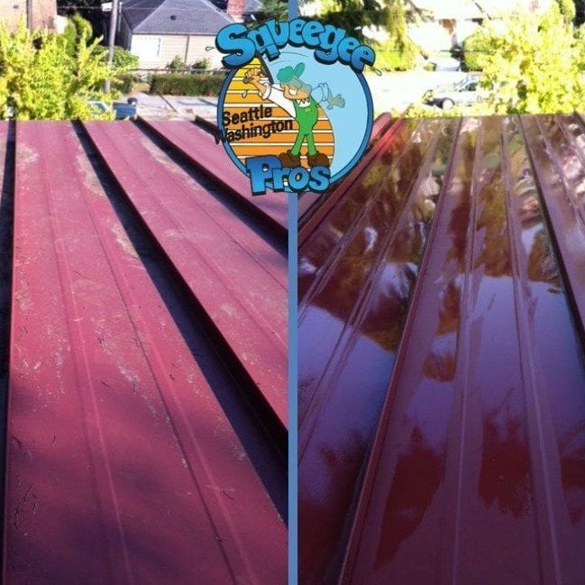 Roof Cleaner in Seattle - Renova Exterior Detailing